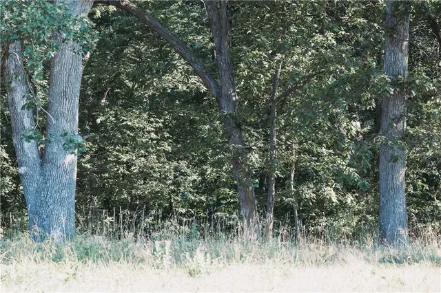 $75,000 | 811 Southeast 600th Road, Knob Noster, MO 65336