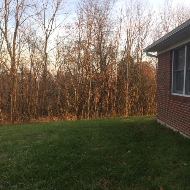 1428 Fairview Road Lawrenceburg, KY 40342 - Photo 30 of 47 Photo 30