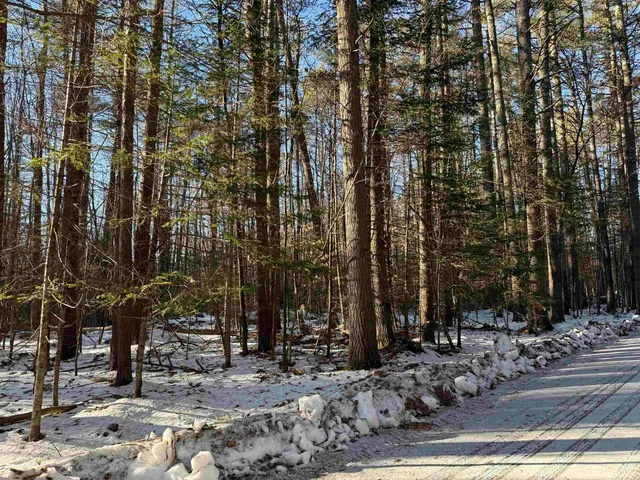 $115,000 | Blueberry Woods Drive, Canaan, NH 03741