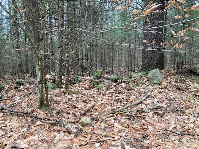 $115,000 | Blueberry Woods Drive, Canaan, NH 03741