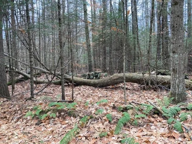 $115,000 | Blueberry Woods Drive, Canaan, NH 03741