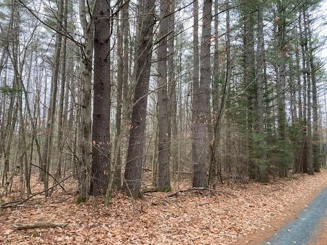 $115,000 | Blueberry Woods Drive, Canaan, NH 03741