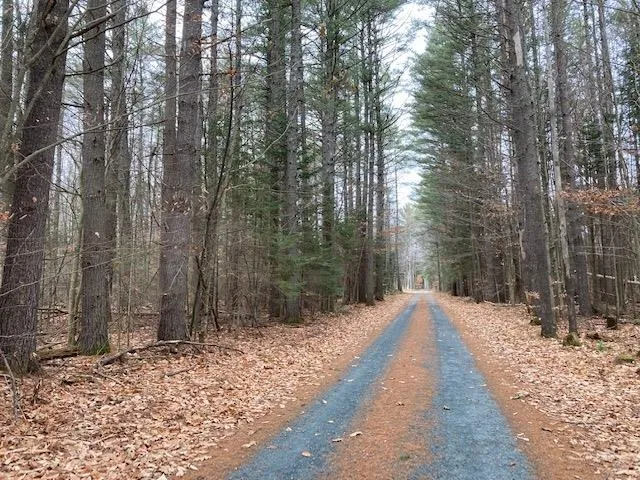 $115,000 | Blueberry Woods Drive, Canaan, NH 03741