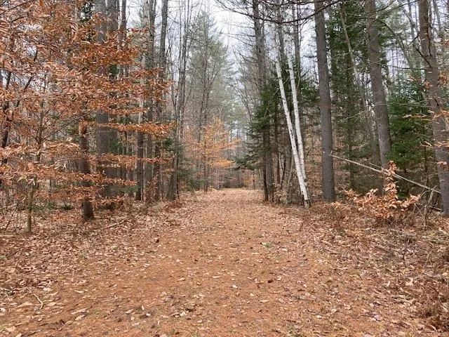 $115,000 | Blueberry Woods Drive, Canaan, NH 03741