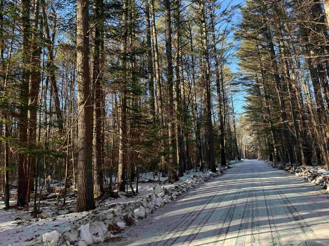 $115,000 | Blueberry Woods Drive, Canaan, NH 03741