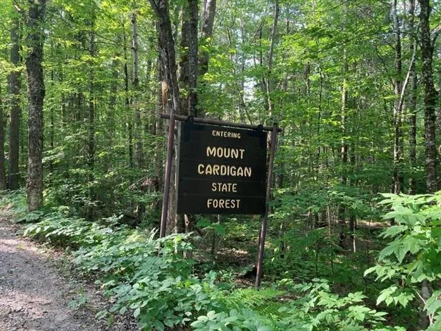 $115,000 | Blueberry Woods Drive, Canaan, NH 03741