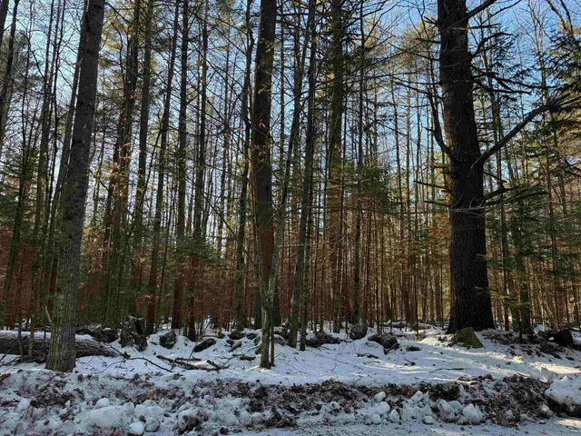 $115,000 | Blueberry Woods Drive, Canaan, NH 03741