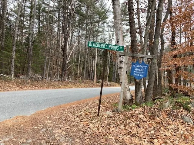 $115,000 | Blueberry Woods Drive, Canaan, NH 03741