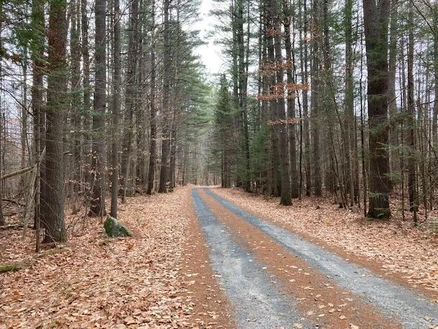$115,000 | Blueberry Woods Drive, Canaan, NH 03741