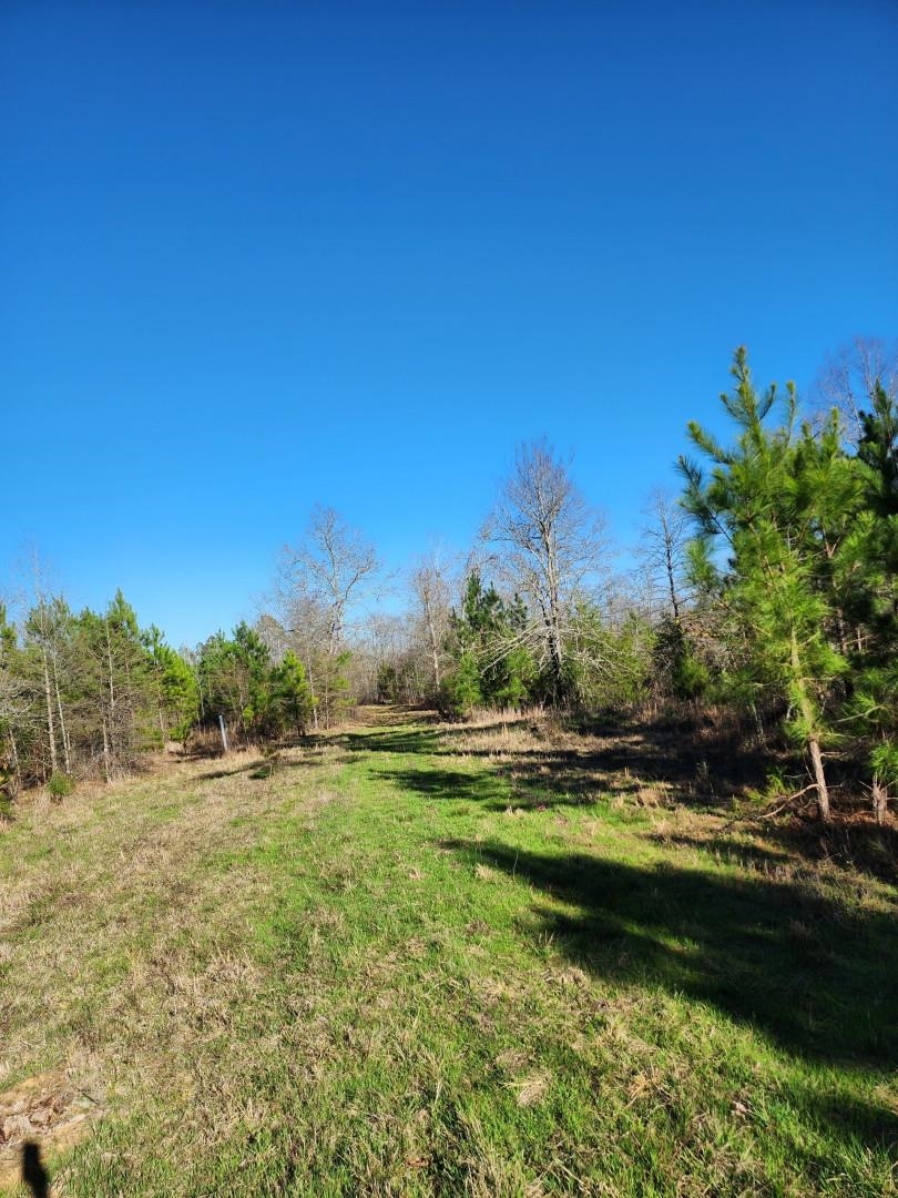 14019 Neeley Ferry Road Waterloo, SC 29384 - Photo 11 of 14