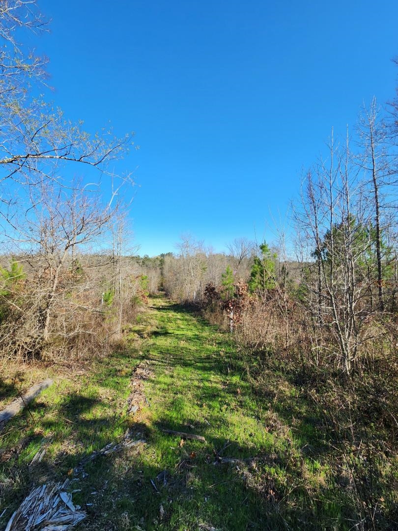 14019 Neeley Ferry Road Waterloo, SC 29384 - Photo 12 of 14