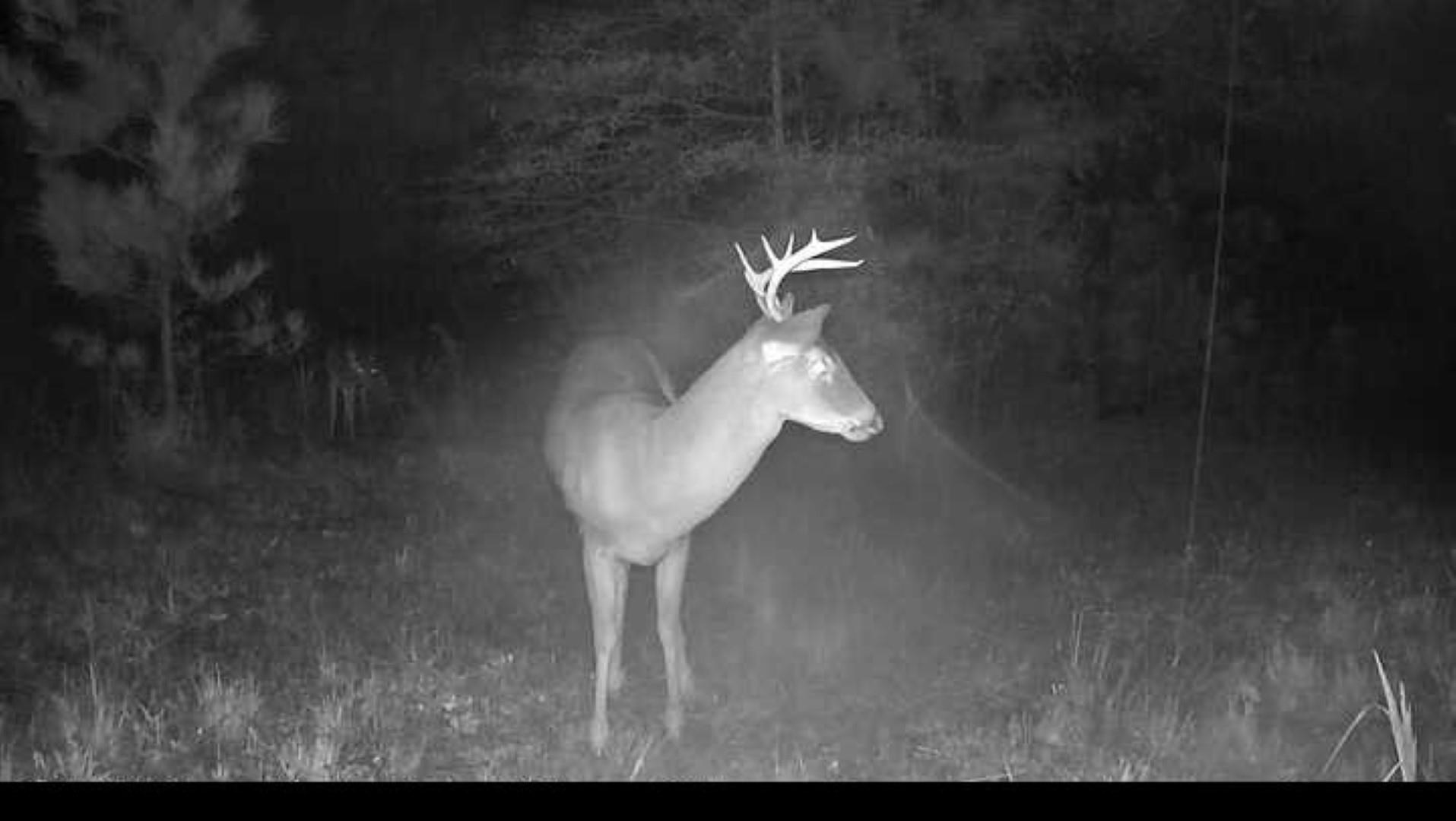 14019 Neeley Ferry Road Waterloo, SC 29384 - Photo 14 of 14