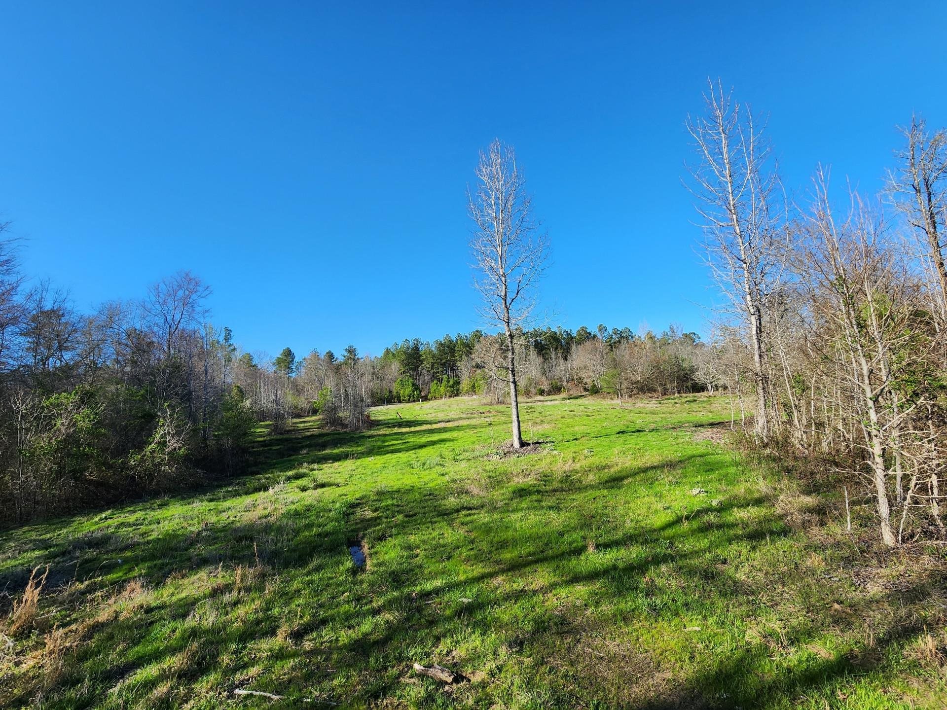 14019 Neeley Ferry Road Waterloo, SC 29384 - Photo 9 of 14