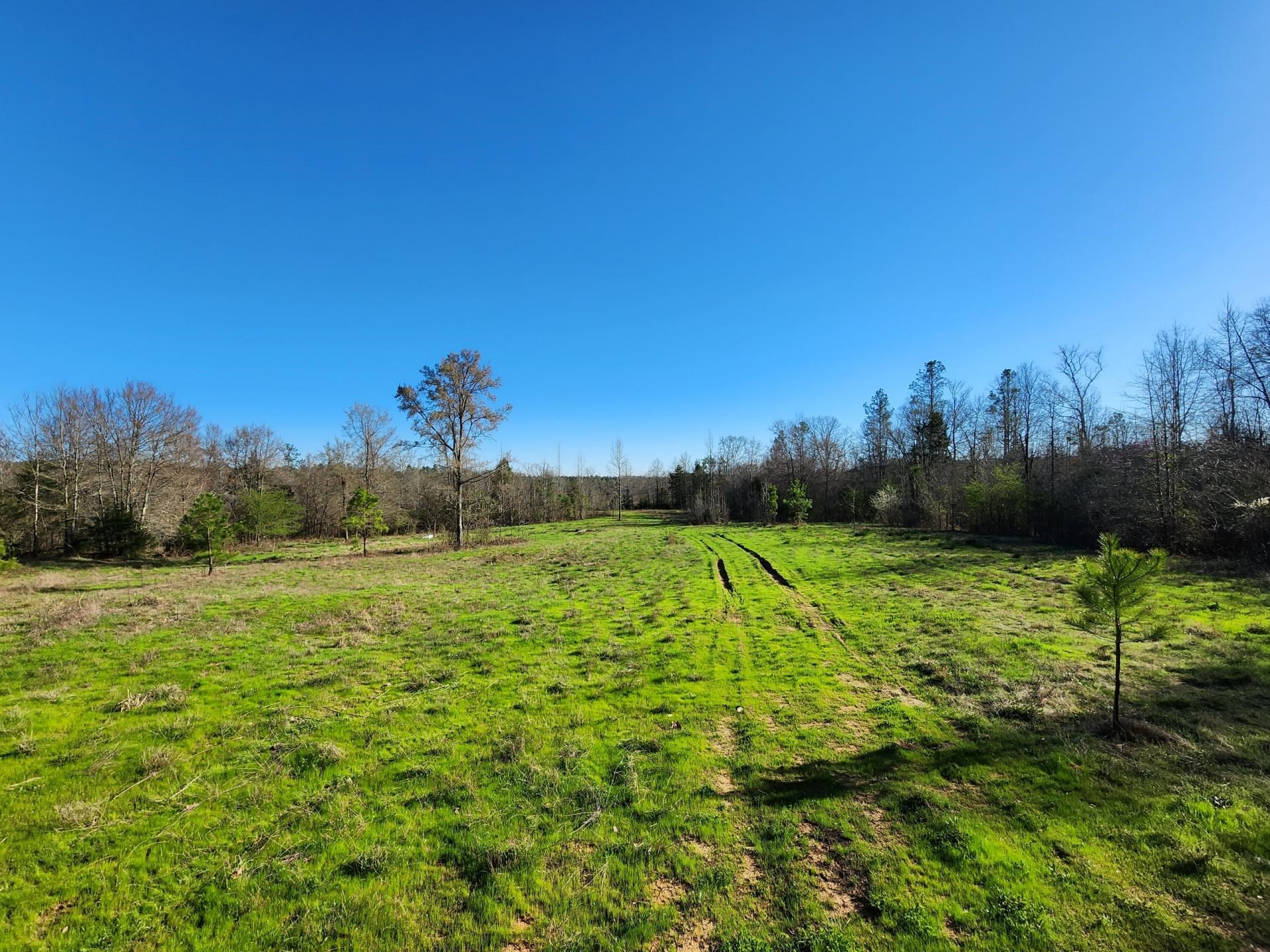 14019 Neeley Ferry Road Waterloo, SC 29384 - Photo 10 of 14