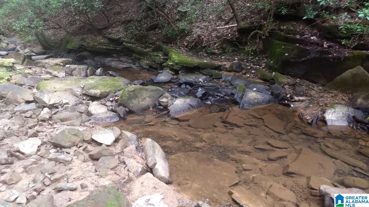 0 Highway 27 Springville Al Springville, AL 35146 - Photo 11 of 12