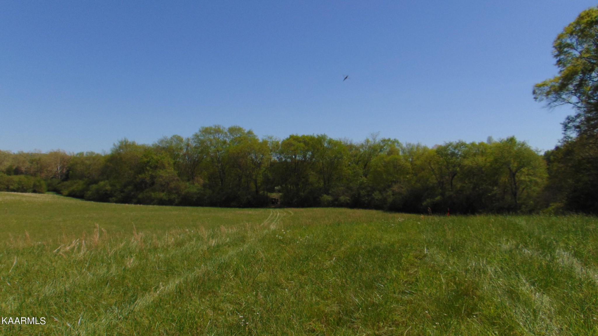 2 Euchee Road Ten Mile, TN 37880 - Photo 7 of 26