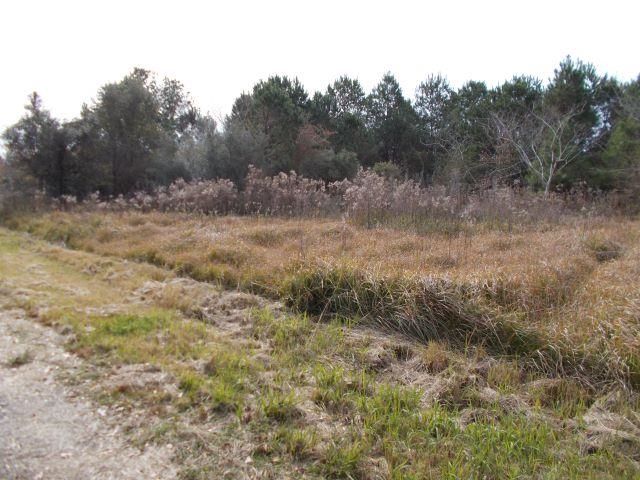 12230 Bay Road West Foley, AL 36535 - Photo 5 of 26