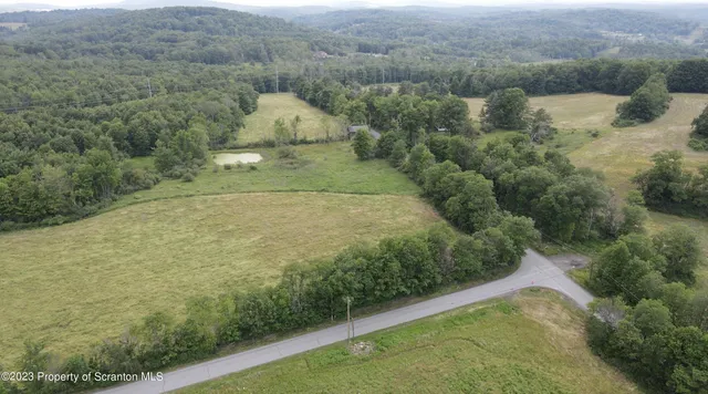 a view of a dry yard with green space