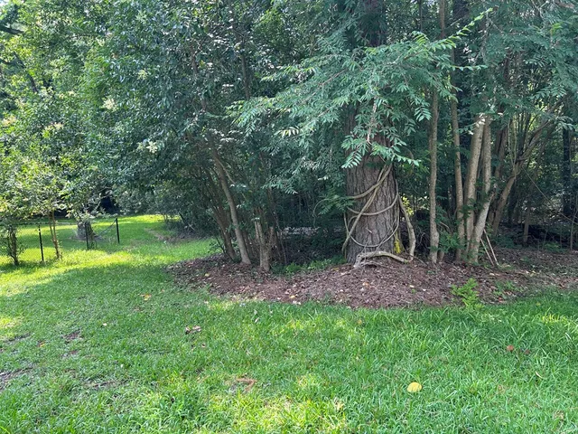 a backyard of a house with lots of green space