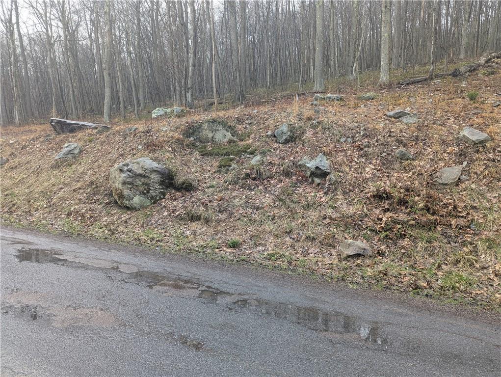 0 Jersey Hollow Road Confluence, PA 15424 - Photo 11 of 14 Gallery Image 11