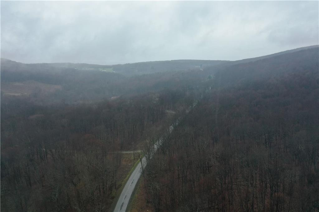 0 Jersey Hollow Road Confluence, PA 15424 - Photo 3 of 14 Gallery Image 3