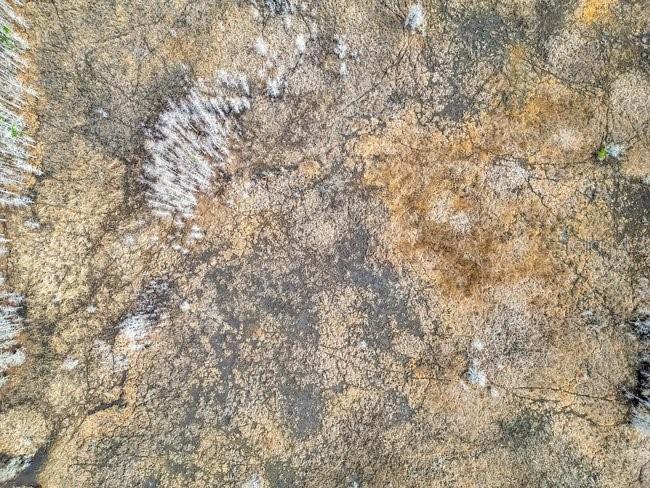 11535 Mattioda Road Groveland, FL 34736 - Photo 11 of 25