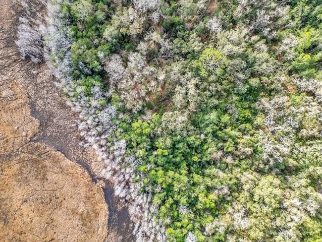 11535 Mattioda Road Groveland, FL 34736 - Photo 17 of 25