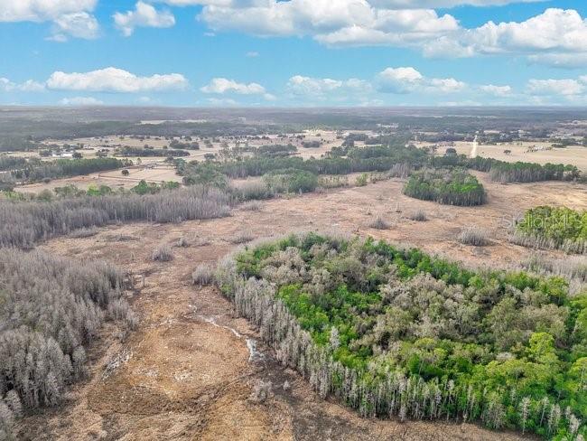 11535 Mattioda Road Groveland, FL 34736 - Photo 18 of 25