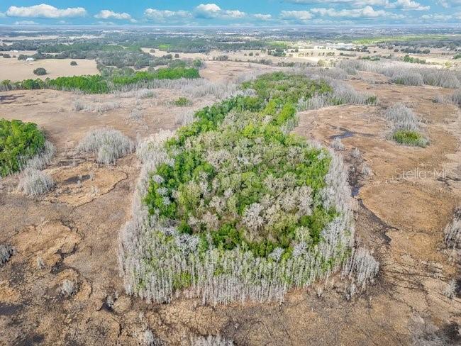11535 Mattioda Road Groveland, FL 34736 - Photo 22 of 25