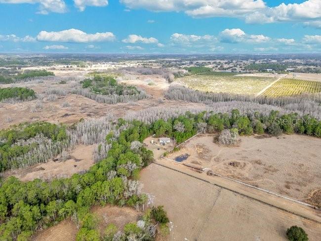 11535 Mattioda Road Groveland, FL 34736 - Photo 5 of 25