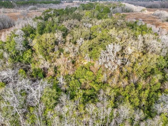 11535 Mattioda Road Groveland, FL 34736 - Photo 8 of 25