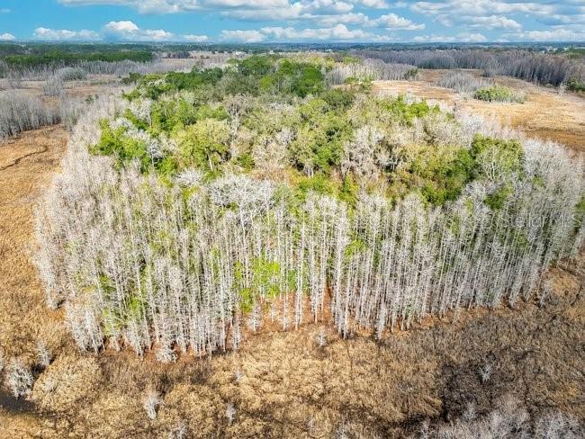 11535 Mattioda Road Groveland, FL 34736 - Photo 9 of 25