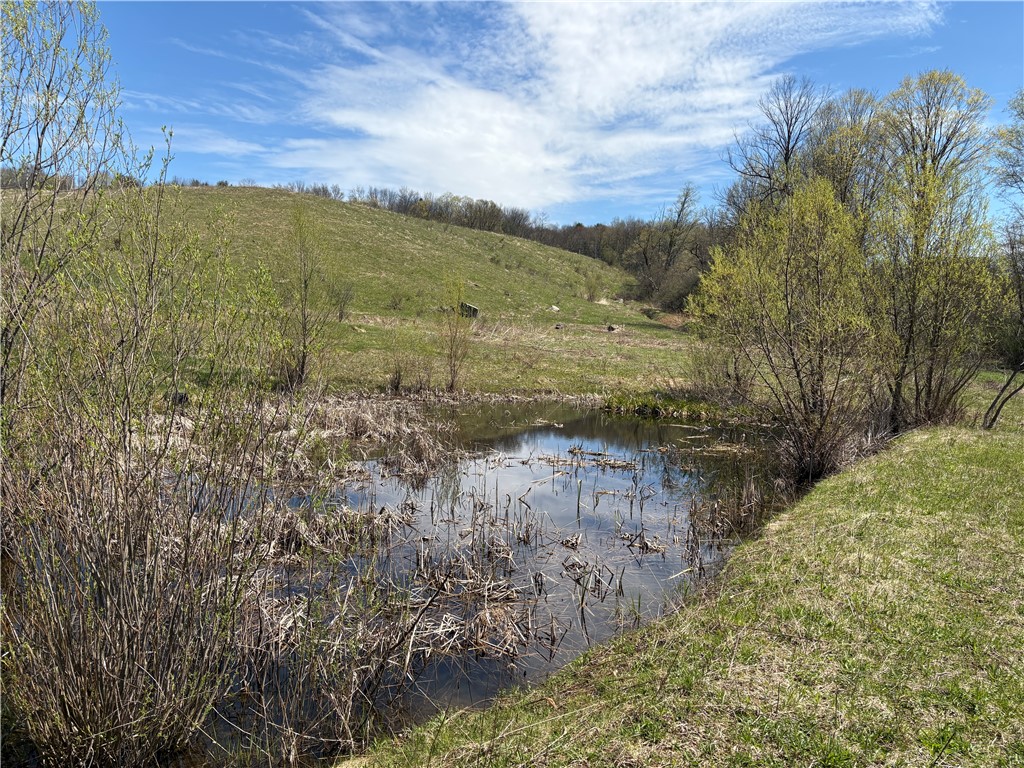 46 County Road Norwich, NY 13815 - Photo 16 of 27