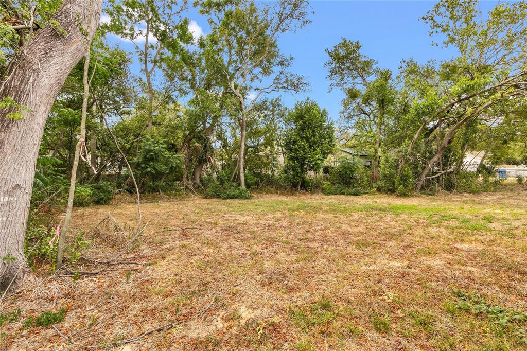3264 Stephens Boulevard Spring Hill, FL 34606 - Photo 28 of 35 a view of yard with tree