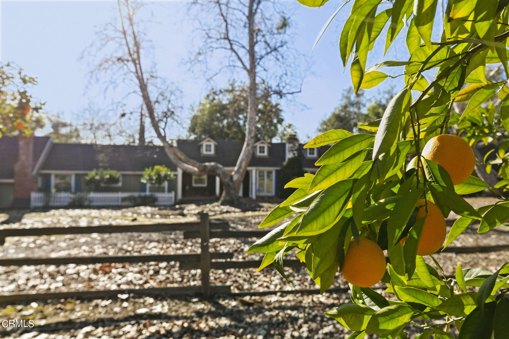 601 Foothill Road Ojai, CA 93023 - Photo 44 of 47 a view of street with houses