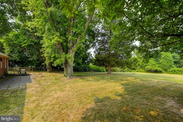 a house with trees in the background