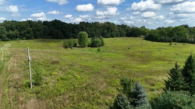 2260 North Gibbs Road Albion, MI 49224 - Photo 10 of 14 dji_fly_20260818_152302_0016_17871639159