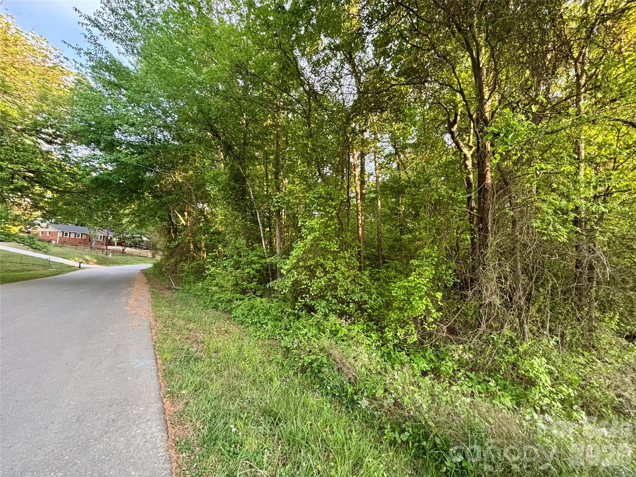 0 Unionville Road Monroe, NC 28110 - Photo 4 of 5 a view of a forest with a tree