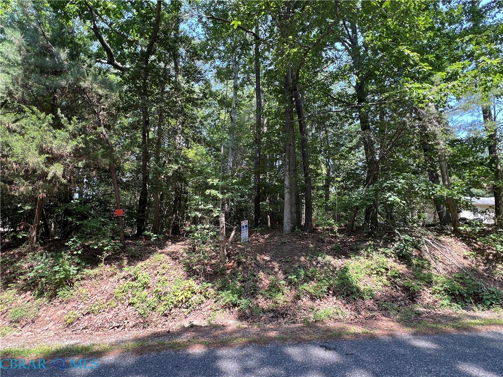 Tbd Wolverine Road Deltaville, VA 23043 - Photo 12 of 12