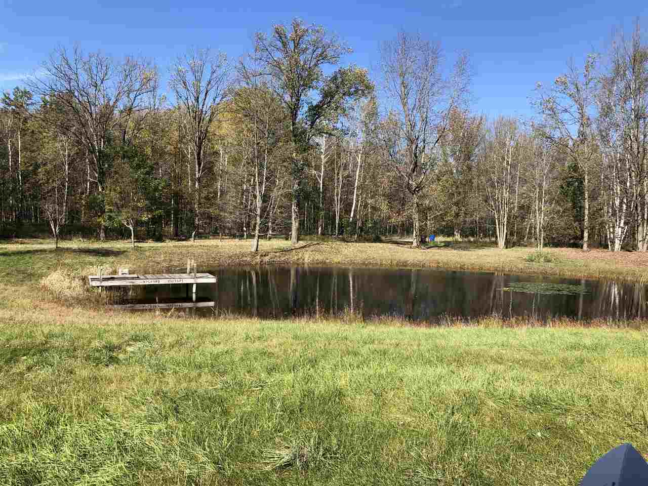 4666 East Levely Road Rhodes, MI 48652 - Photo 3 of 14