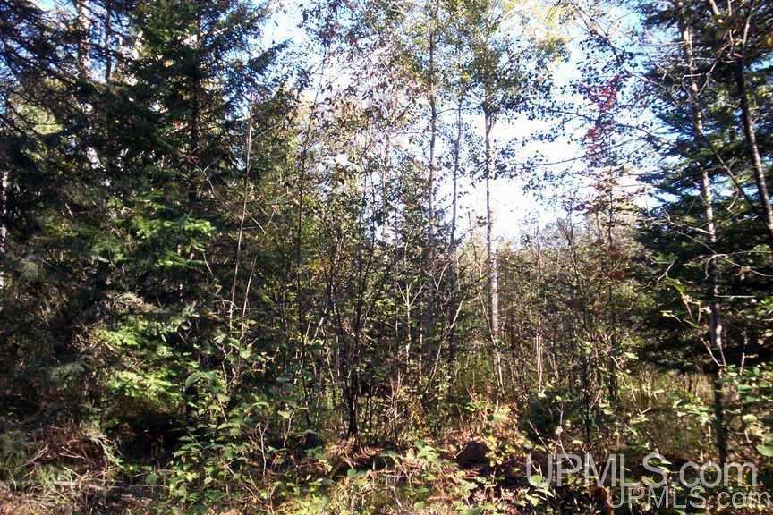 Tbd 140 Acres Off Parkington Road Gulliver, MI 49840 - Photo 8 of 11