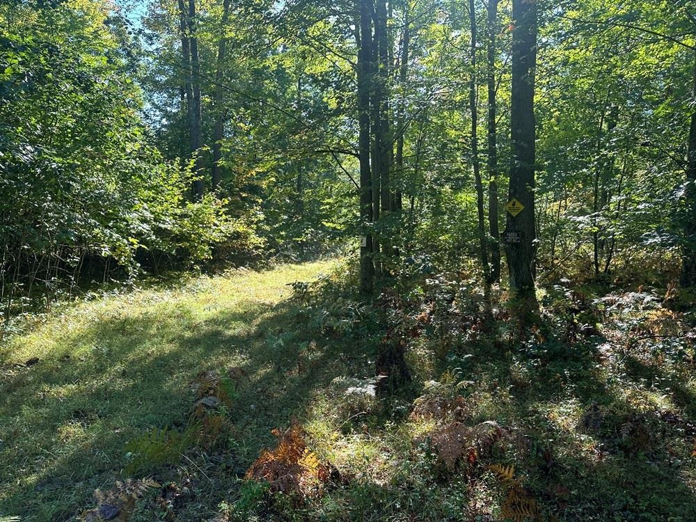 300-30 Easement Road Harrison, MI 48625 - Photo 3 of 4 Gallery Image 3