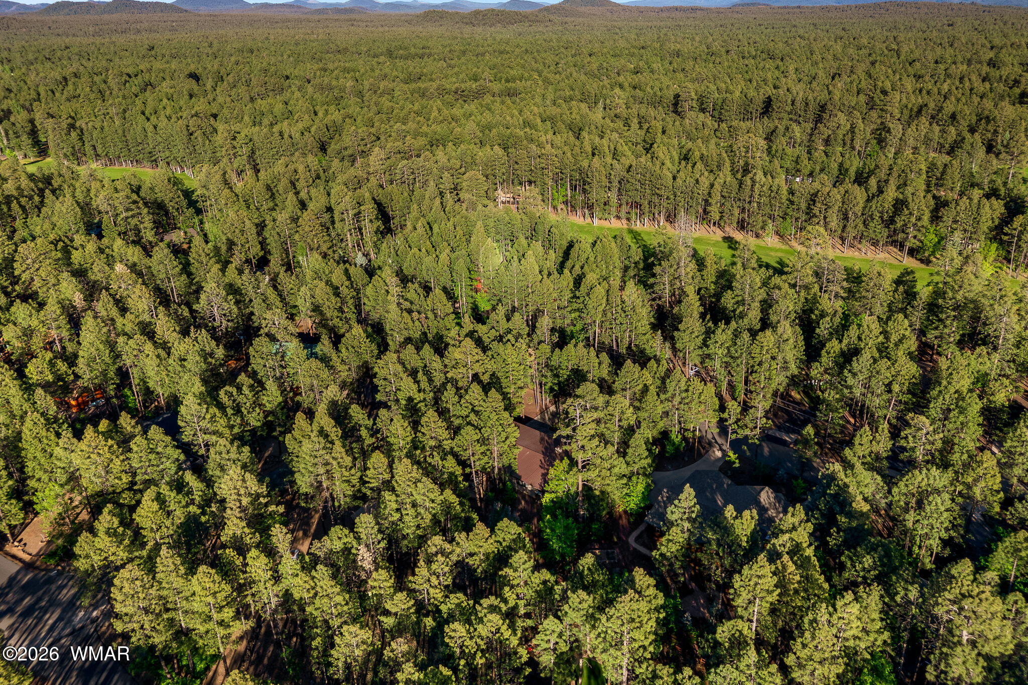 7172 Buck Springs Road Pinetop, AZ 85935 - Photo 48 of 53 7172BuckSpringsRd-Pinetop-AZ-47