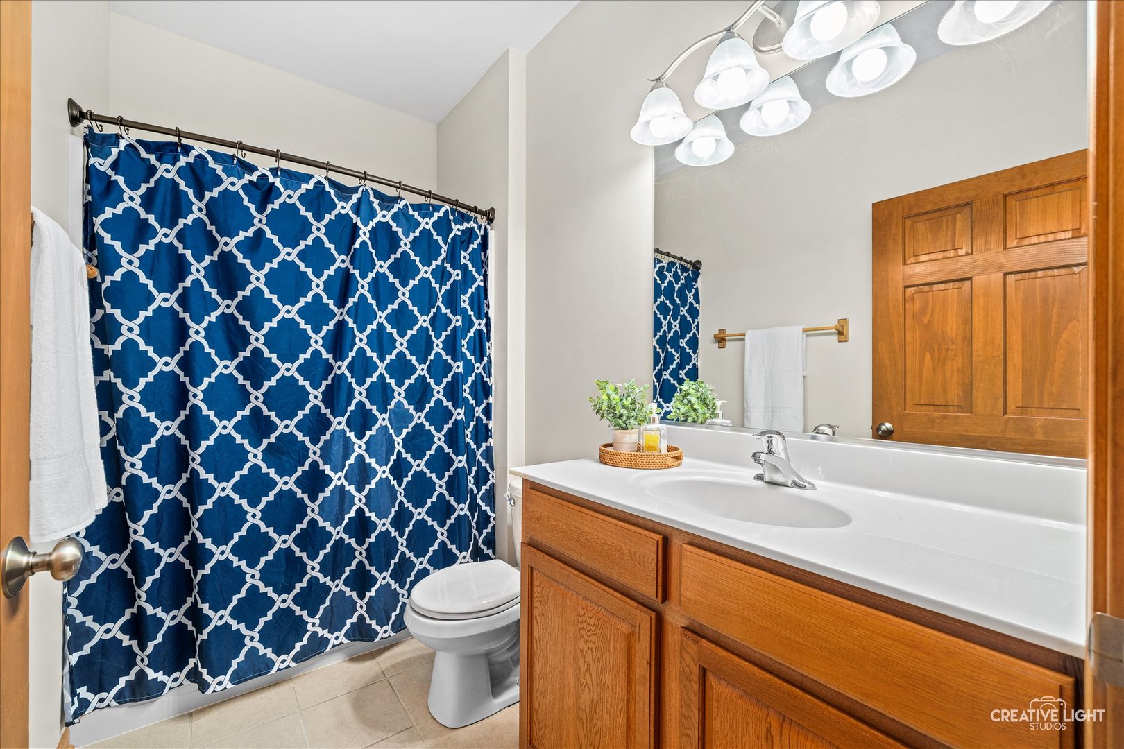 906 Neudearborn Lane Naperville, IL 60563 - Photo 13 of 27