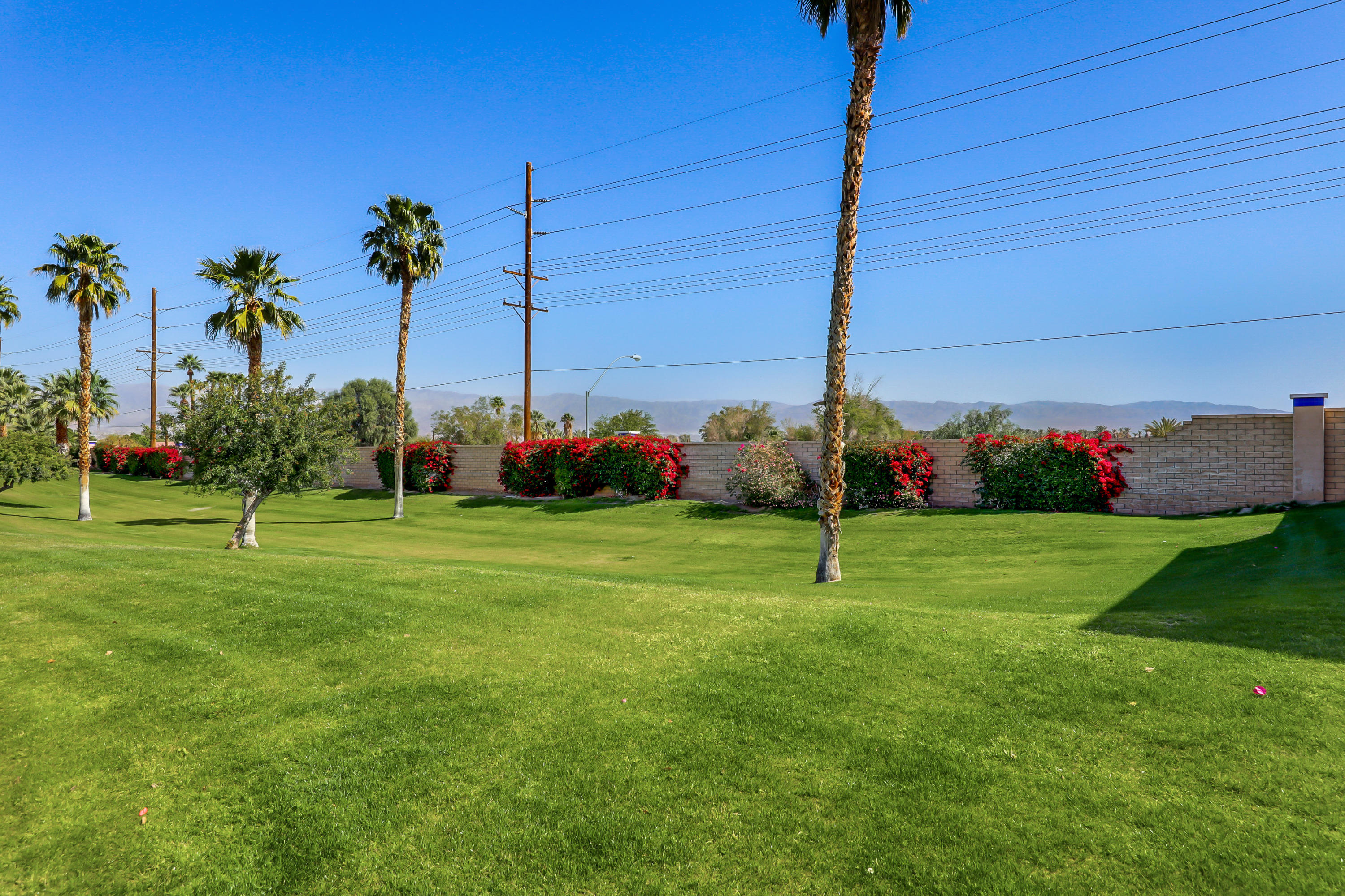 49394 Lewis Road Indio, CA 92201 - Photo 4 of 29 Greenbelt next door