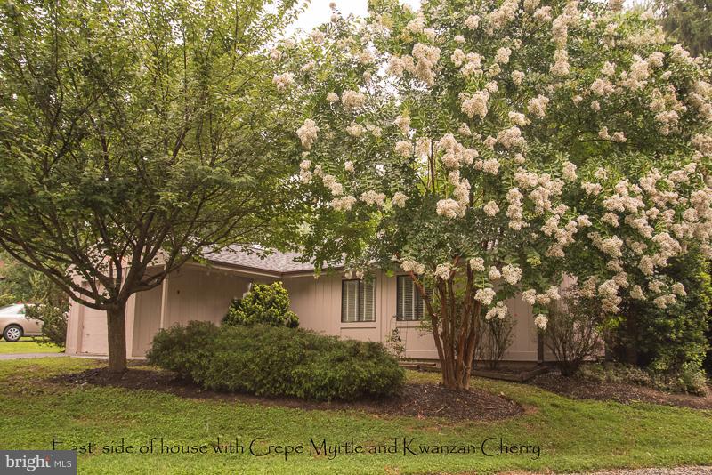 11302 Gatesborough Lane Reston, VA 20191 - Photo 1 of 30 Exterior (Front)