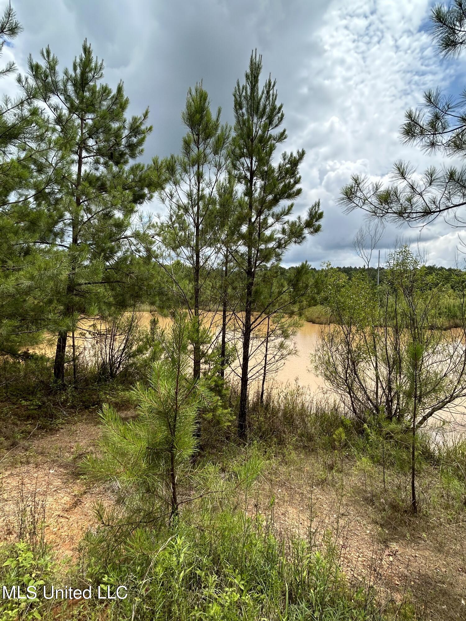 916 White Road Florence, MS 39073 - Photo 3 of 14 White Rd 3