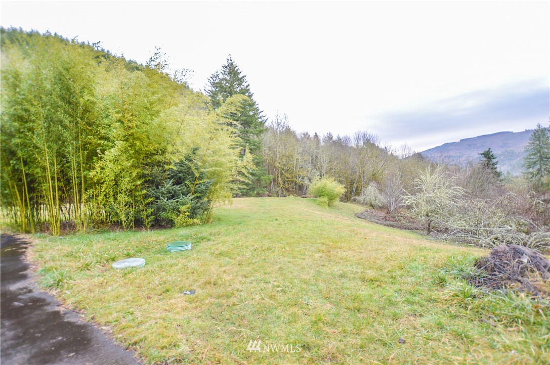 399 Mountain View Road Kalama, WA 98625 - Photo 16 of 21 Gallery Image 16