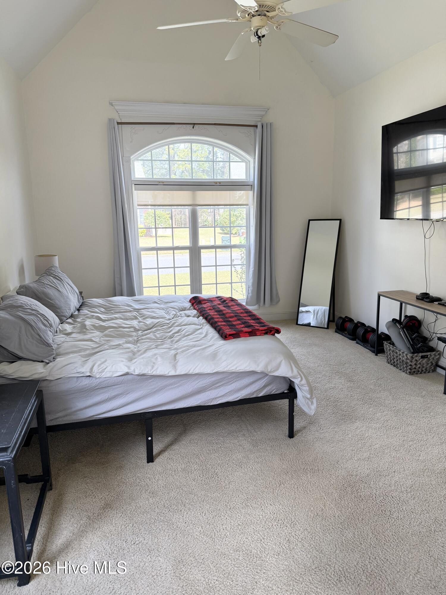 714 Tabard Road Winterville, NC 28590 - Photo 32 of 49 IMG_4929