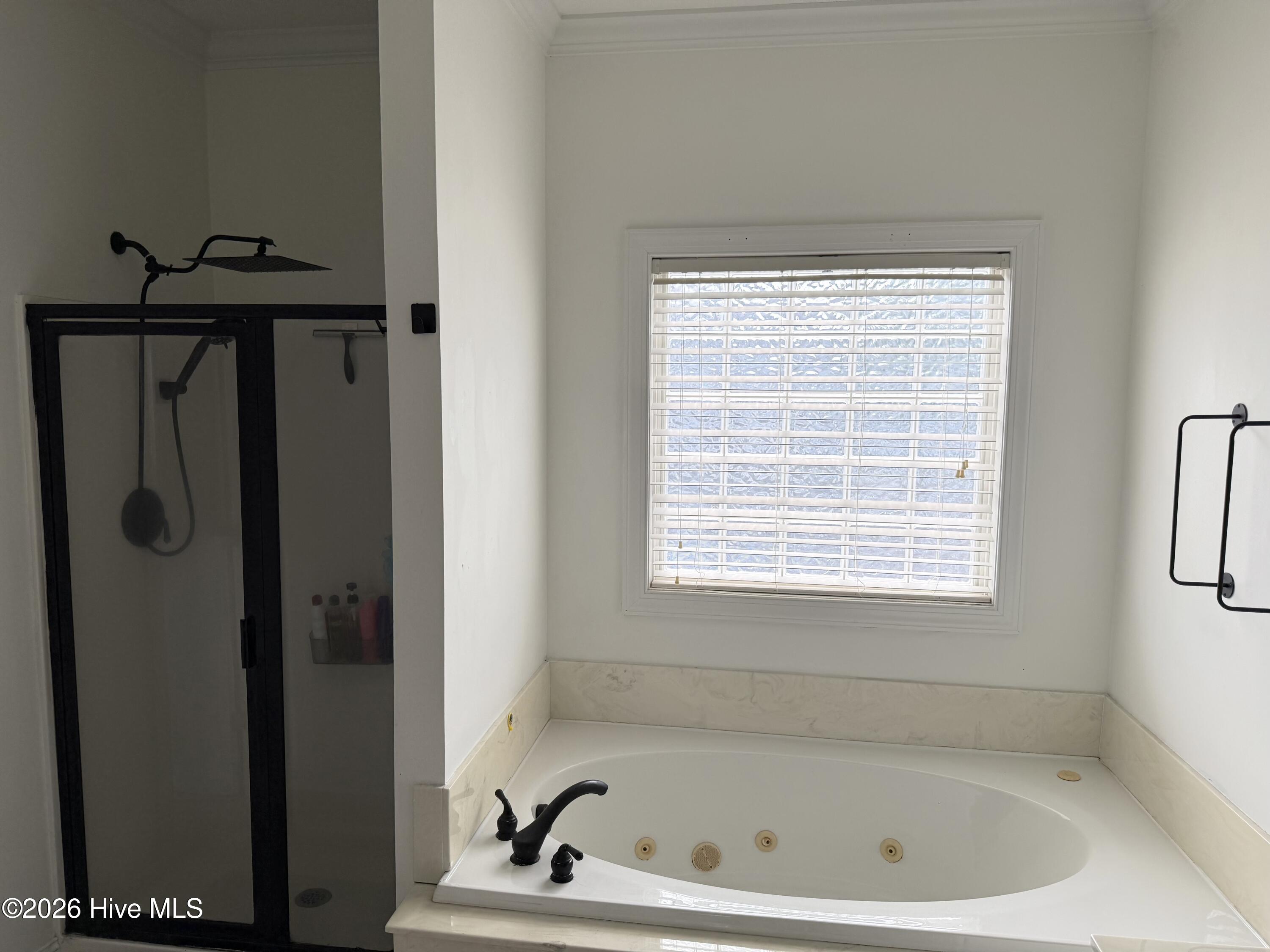 714 Tabard Road Winterville, NC 28590 - Photo 37 of 49 IMG_4934